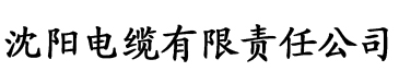 穿成七零天生锦鲤命电缆厂logo